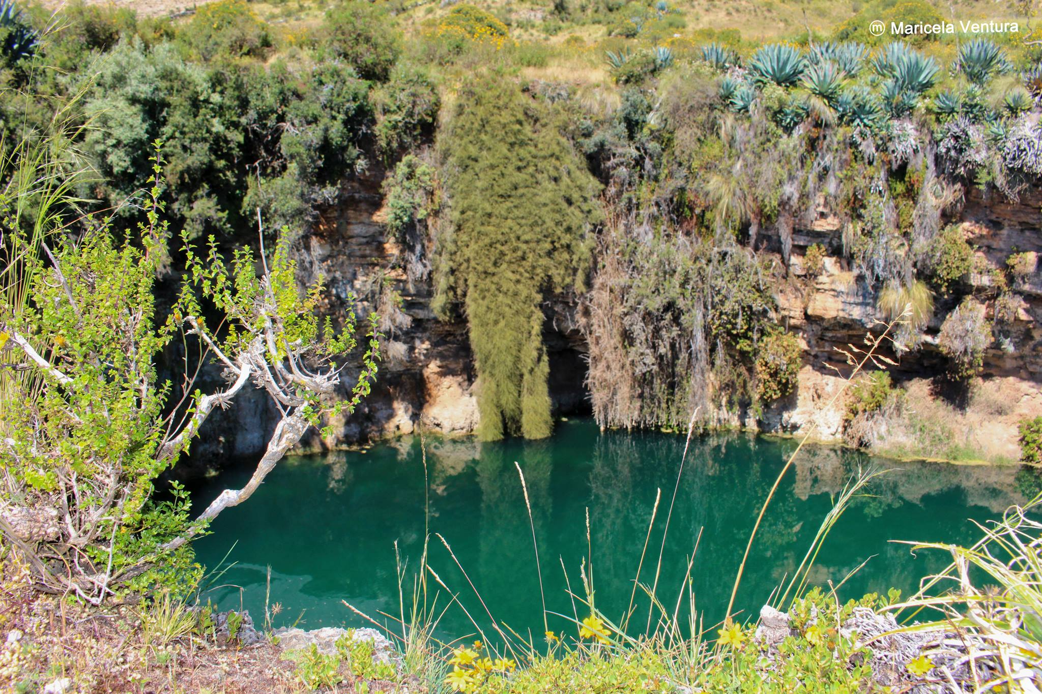 CENOTE